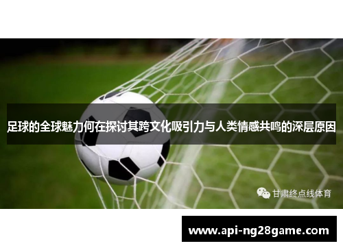 足球的全球魅力何在探讨其跨文化吸引力与人类情感共鸣的深层原因