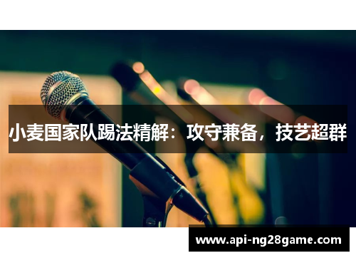 小麦国家队踢法精解:攻守兼备,技艺超群 小麦国家队踢法精解:攻守兼备,技艺超群